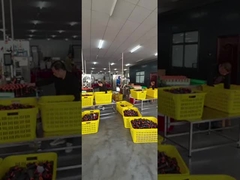 włókna do szycia z poliestru