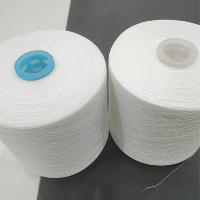 20/2 30/2 40/2 100% Polyester Ring Spun Przędza poliestrowa