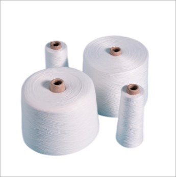 30s 30/2, 30/3 100% Polyester Ring Spun Yarn Polyester Knitting Yarn